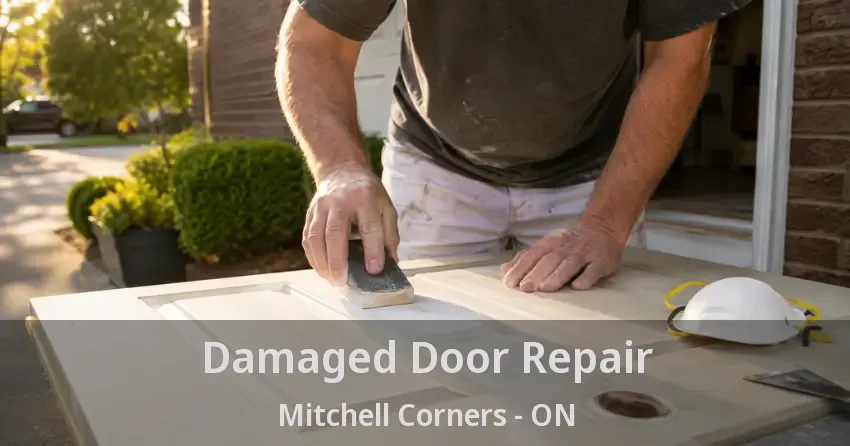 Damaged Door Repair Mitchell Corners - ON