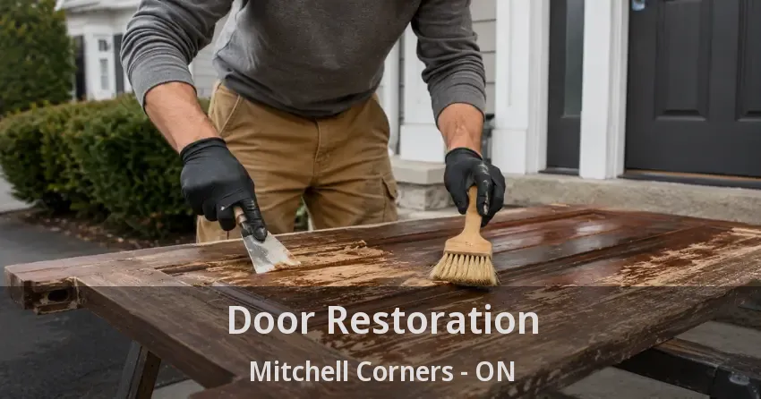 Door Restoration Mitchell Corners - ON