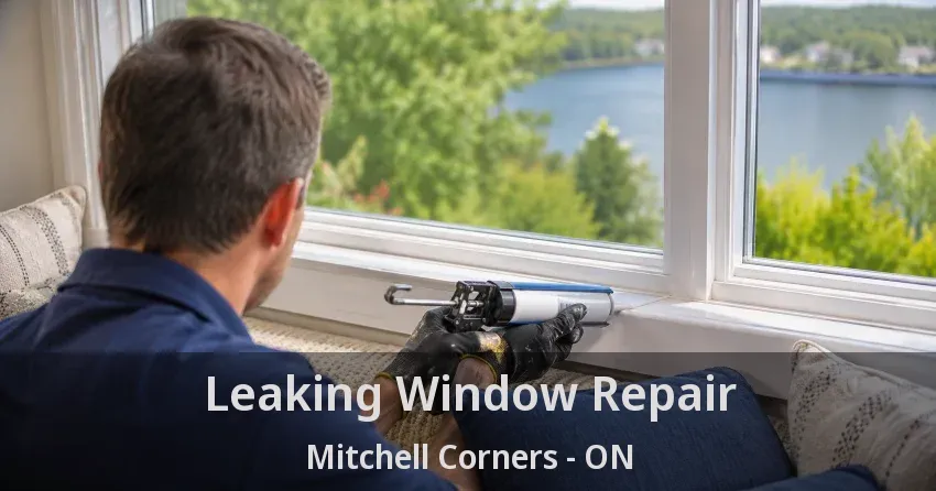 Leaking Window Repair Mitchell Corners - ON