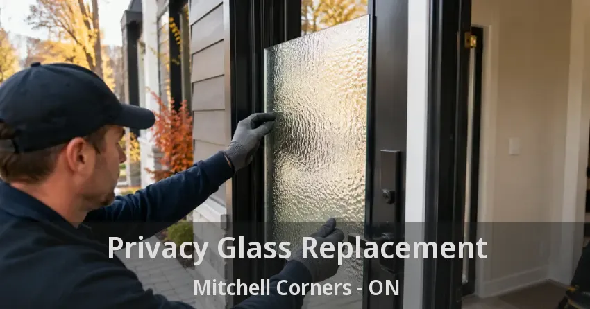 Privacy Glass Replacement Mitchell Corners - ON